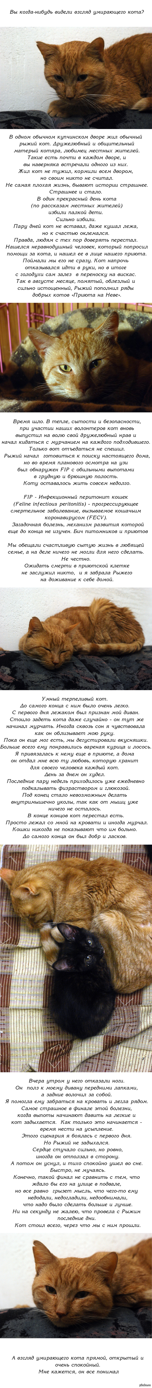 Кракен сайт krakens13 at