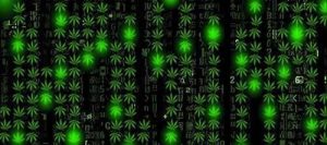 Kraken tor ссылка kraken014 com